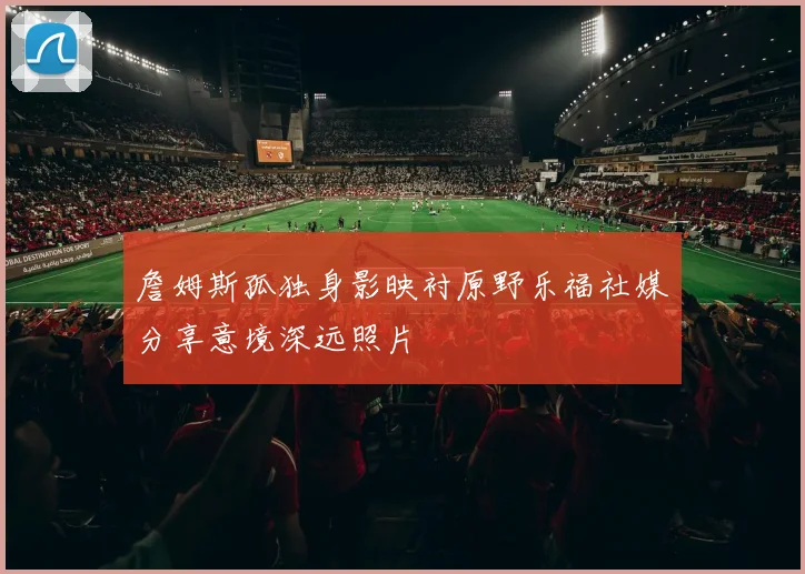 詹姆斯孤独身影映衬原野乐福社媒分享意境深远照片